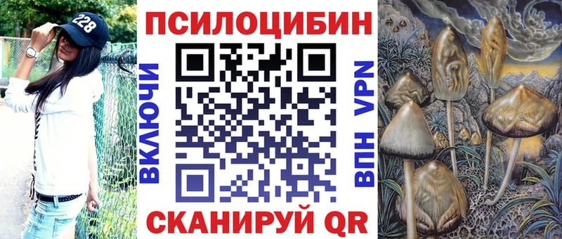 Галлюциногенные грибы мицелий  Кызыл 